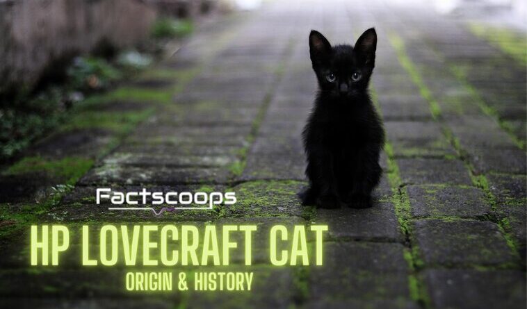 HP Lovecraft Cat Name